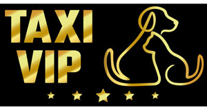 chatons taxi animalier VIP